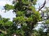 DSCN3017-web